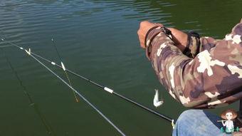 国产钩钓鱼视频在线观看,尽享垂钓乐趣，解锁钓鱼技巧